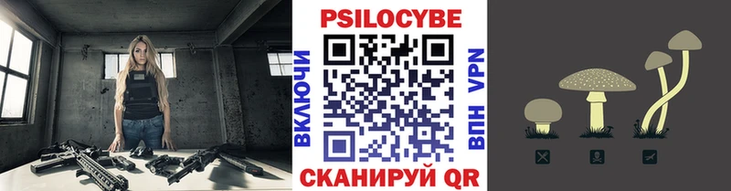 Купить закладки  Киржач  Галлюциногенные грибы Magic Shrooms 